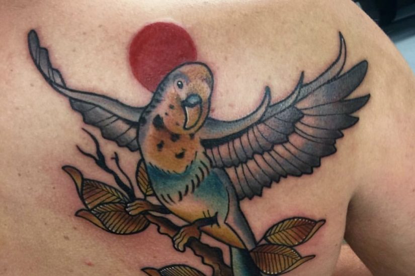 Tattoo of a parakeet on a shoulder blade